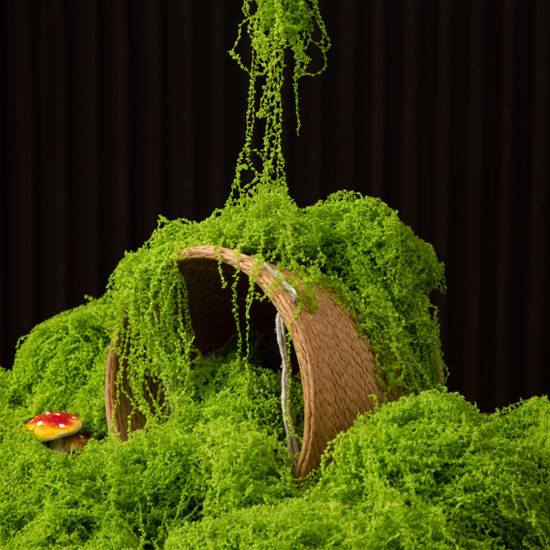 Landscape Bonsai Garden - 200g Eeuwig leven mos DIY ambachten