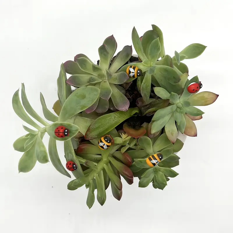50/100 Stuks Mini Zelfklevende - Landscape Bonsai Garden recensie en prijs