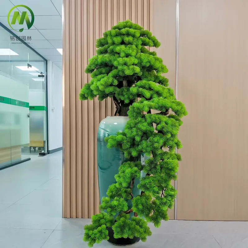Decoratieve groenblijvende wel - Bonsai Tree Miniature Zen Garden recensie en prijs