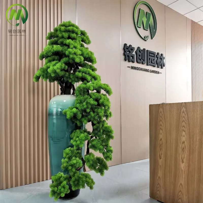 Decoratieve groenblijvende wel - Bonsai Tree Miniature Zen Garden recensie en prijs