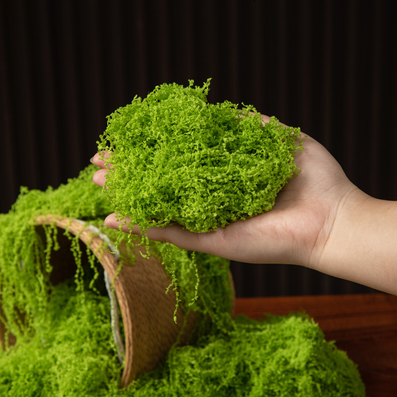 200g Eeuwig leven mos DIY amba - Landscape Bonsai Garden recensie en prijs