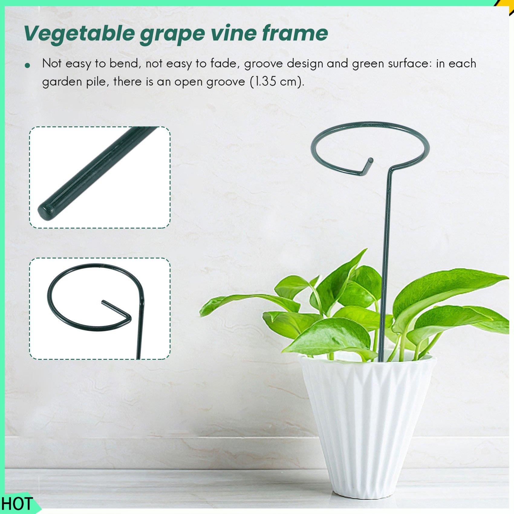 AWAH 8 STKS Mooie Plant Onders - Bonsai Garden Backyard recensie en prijs