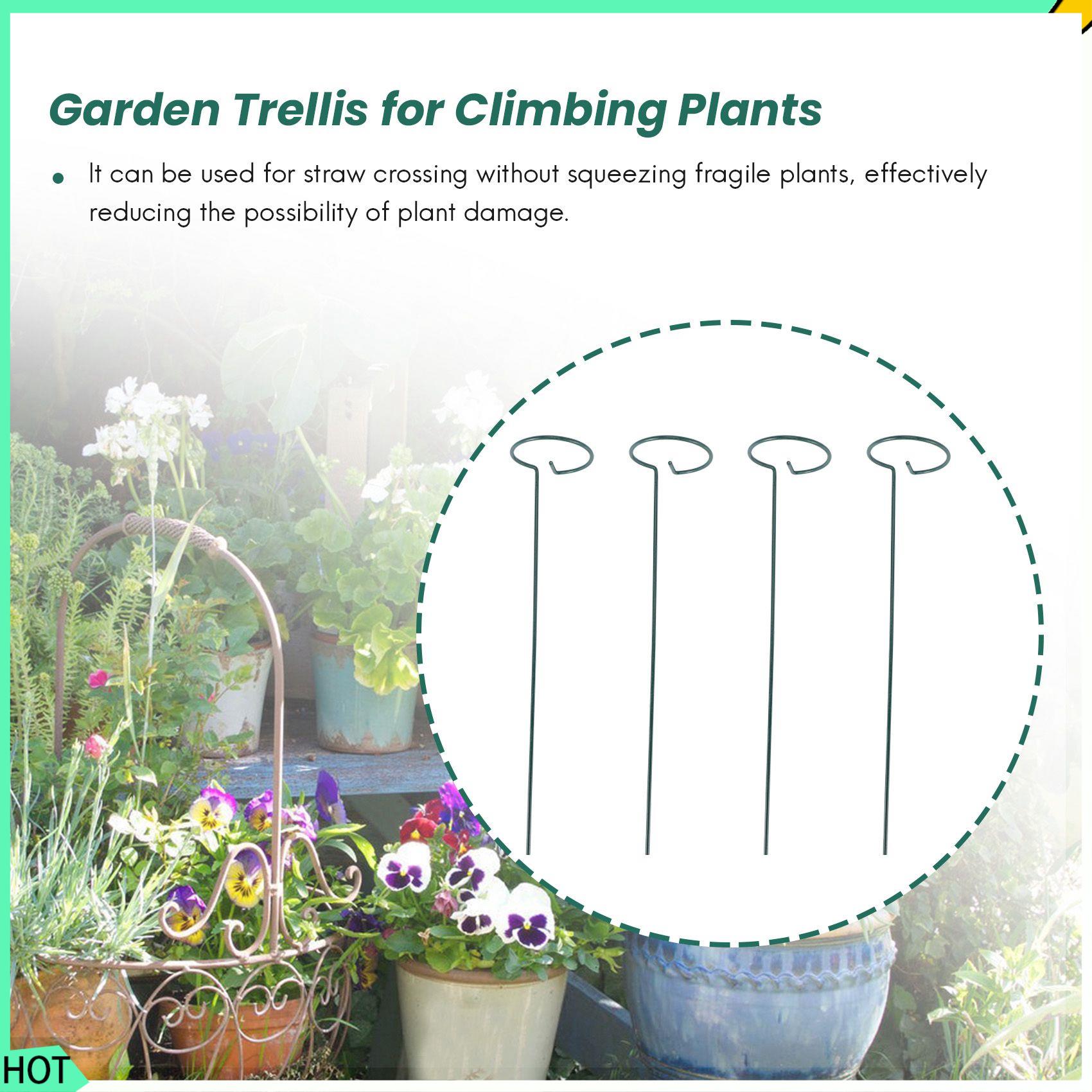 AWAH 8 STKS Mooie Plant Onders - Bonsai Garden Backyard recensie en prijs