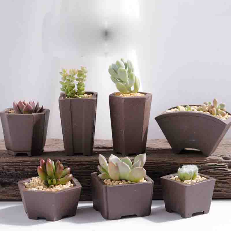 Yixing Paars Zand Bloempot Min - Bonsai Tree Zen Garden recensie en prijs